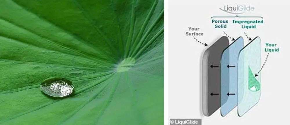 再也不用「擠牙膏」，高露潔換上的「潤(rùn)滑劑」包裝，讓牙膏從此一滴不剩